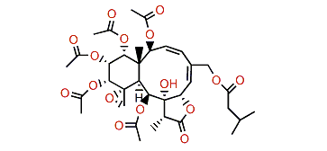 Gemmacolide AG